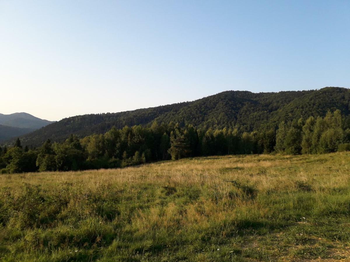 Lesne Berdo Przyslup Bed & Breakfast Чисна Екстериор снимка