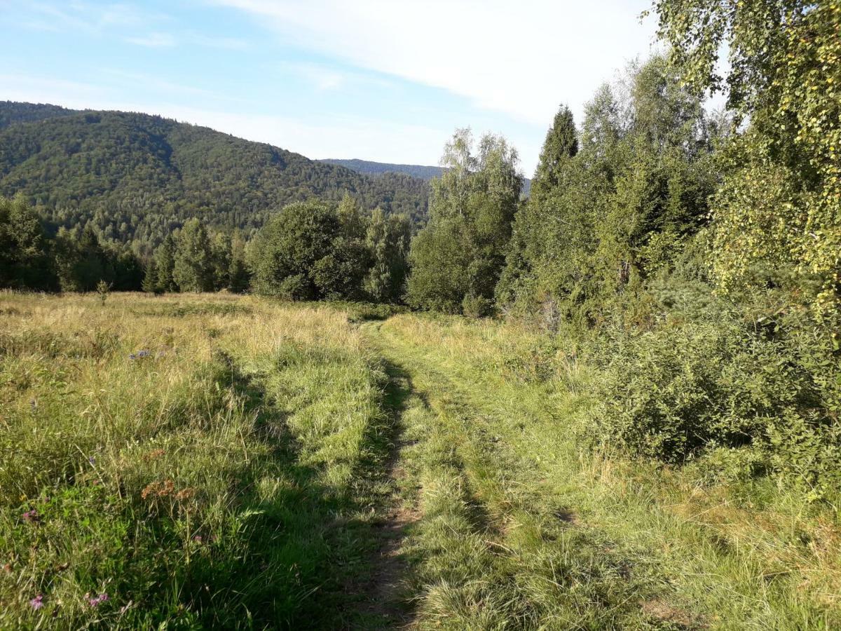 Lesne Berdo Przyslup Bed & Breakfast Чисна Екстериор снимка